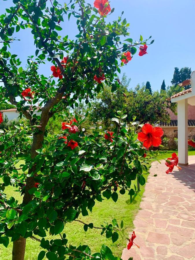 Casa Vacanze 'Sa Corbula' Porto Columbu - Perd'E Sali Dış mekan fotoğraf
