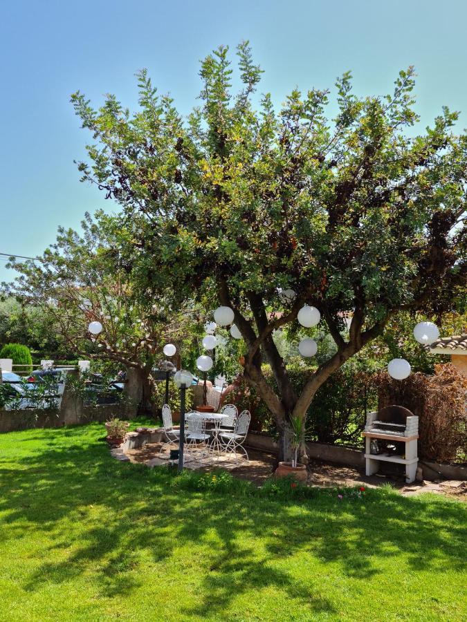 Casa Vacanze 'Sa Corbula' Porto Columbu - Perd'E Sali Dış mekan fotoğraf
